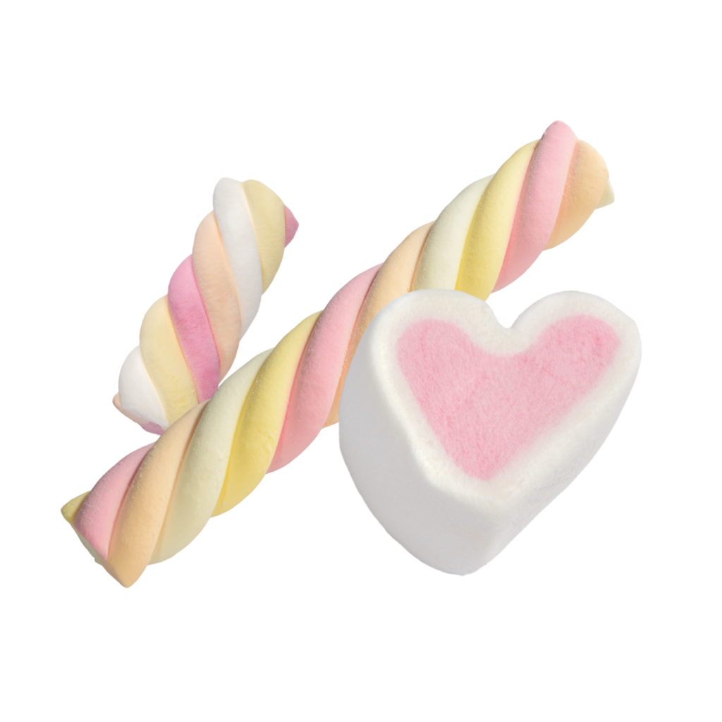 Complete marshmallow production solutions